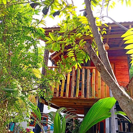 فيلا Parrot Tree House ميريسا المظهر الخارجي الصورة