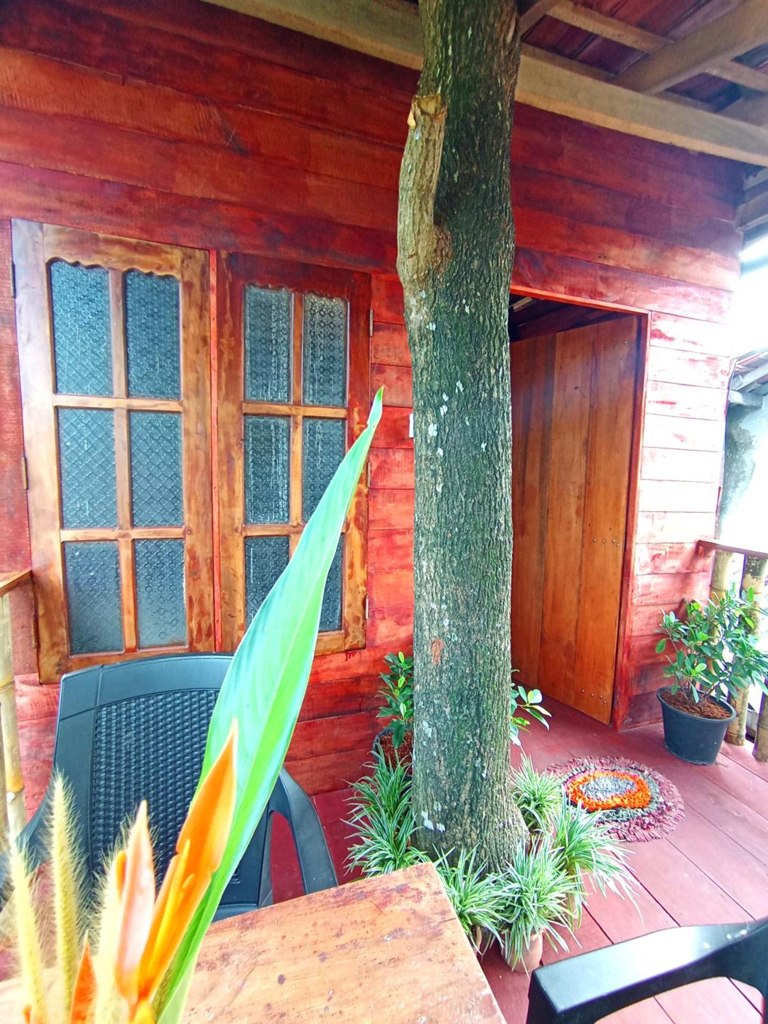 فيلا Parrot Tree House ميريسا المظهر الخارجي الصورة
