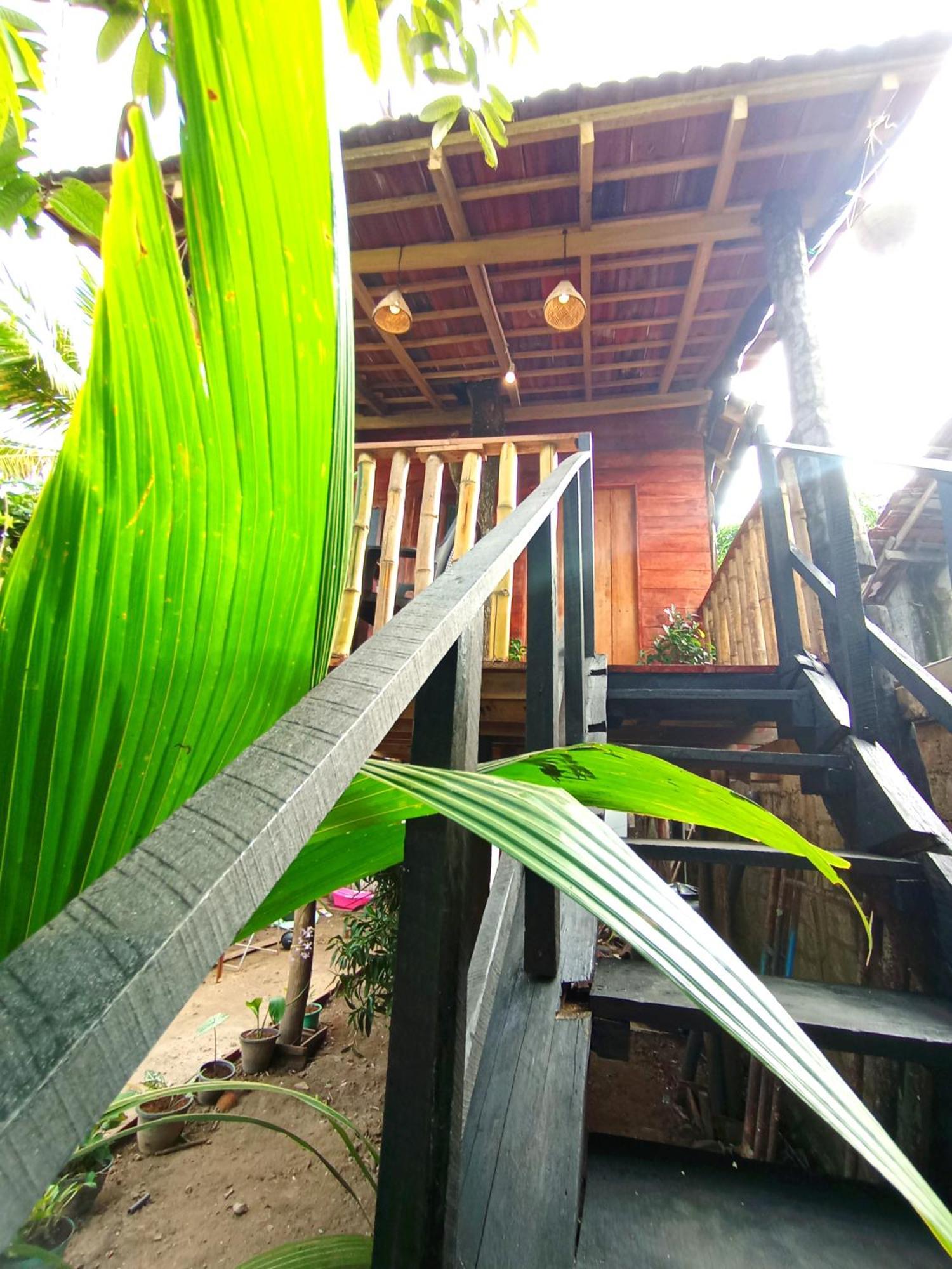 فيلا Parrot Tree House ميريسا المظهر الخارجي الصورة