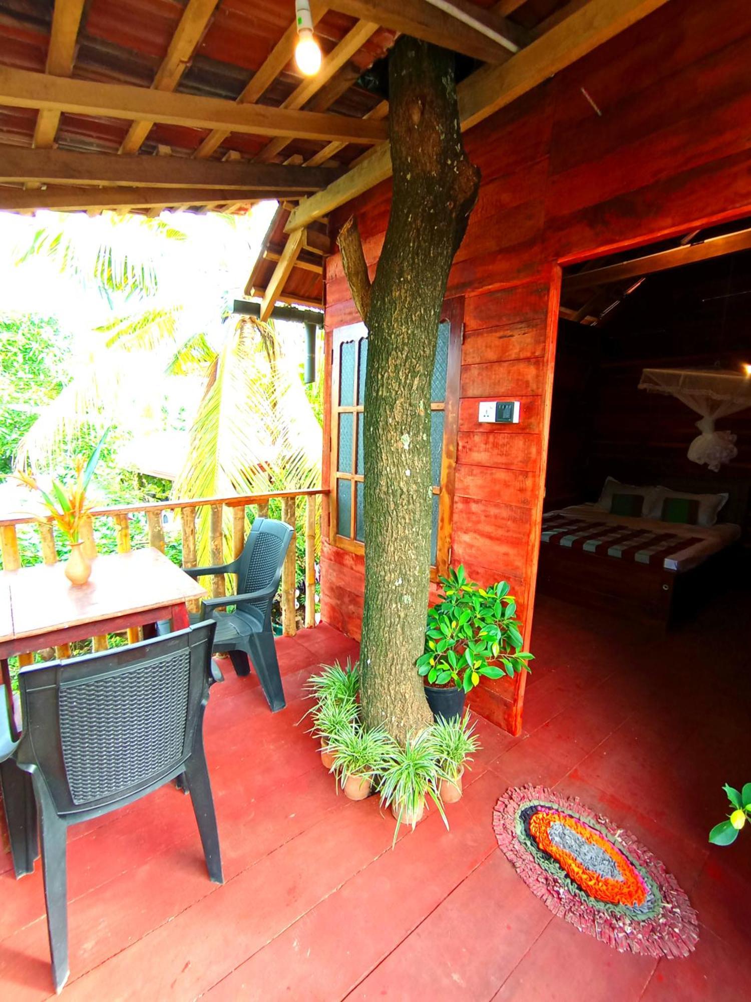 فيلا Parrot Tree House ميريسا المظهر الخارجي الصورة