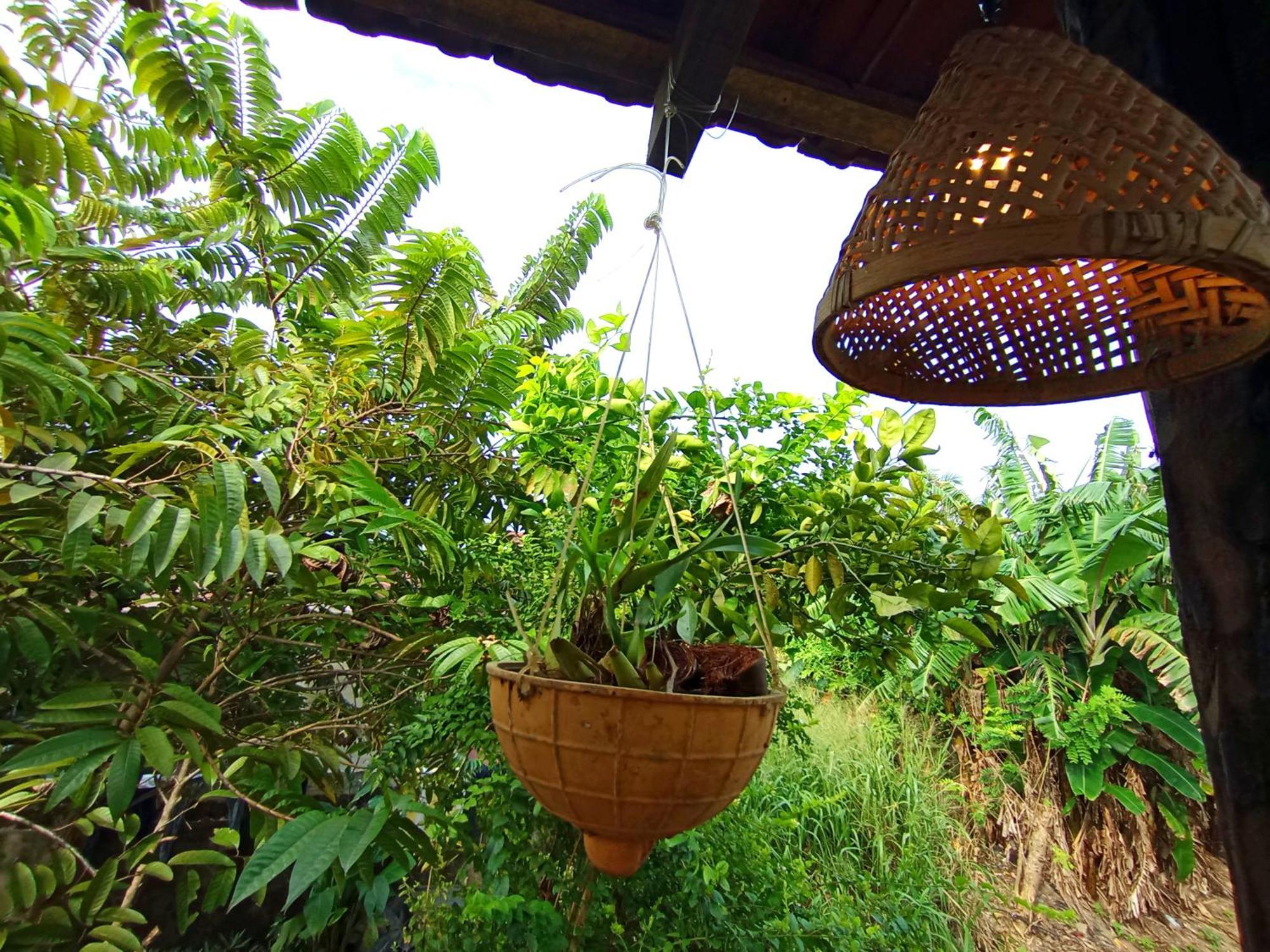 فيلا Parrot Tree House ميريسا المظهر الخارجي الصورة