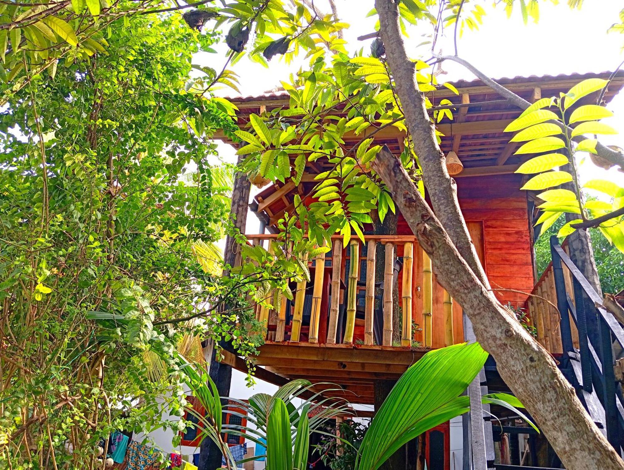 فيلا Parrot Tree House ميريسا المظهر الخارجي الصورة